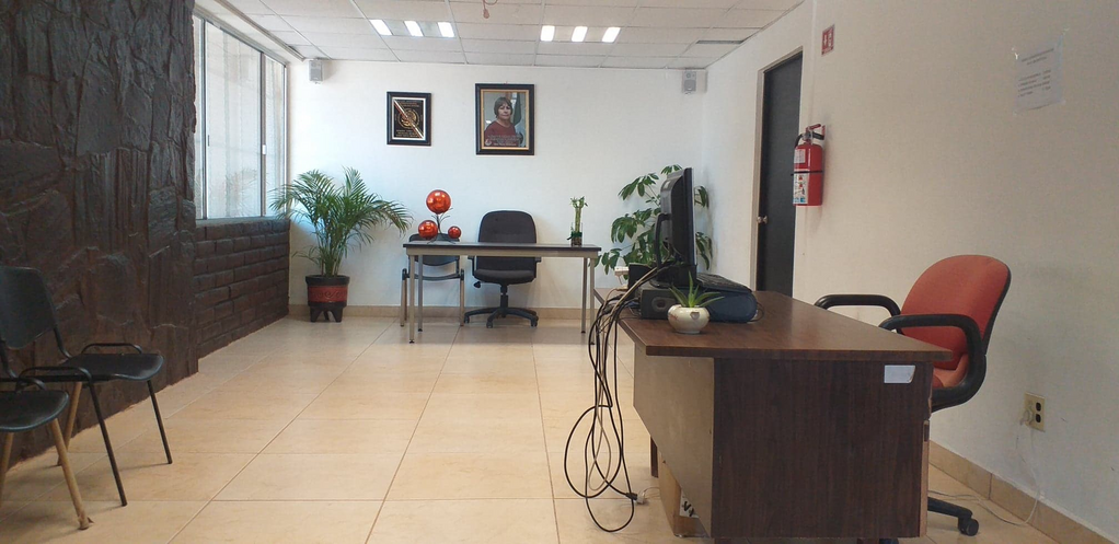 imagen1
