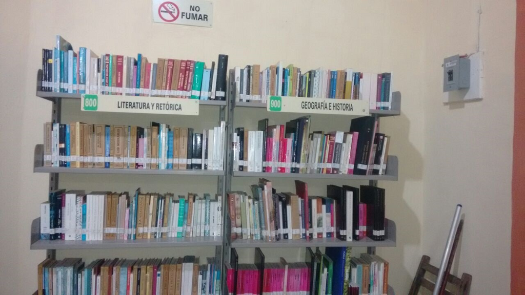 imagen3