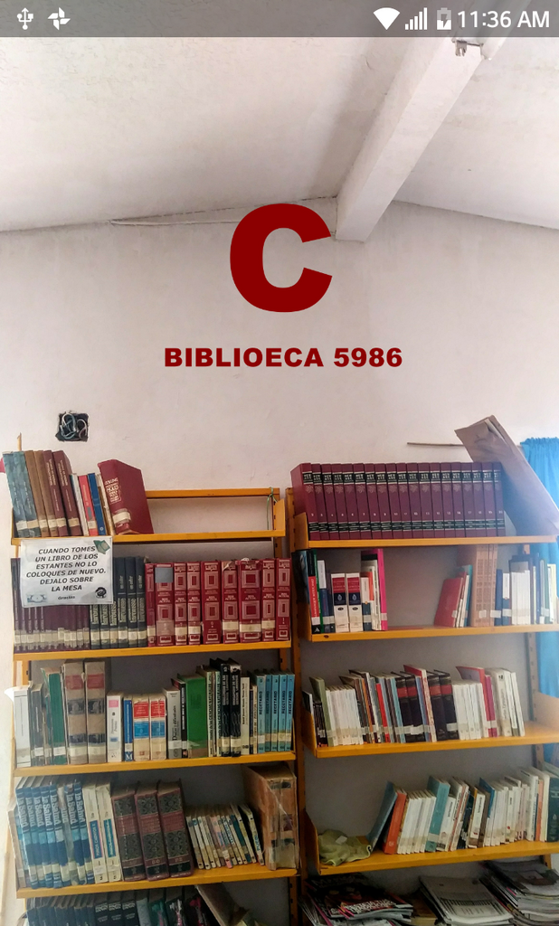 imagen1