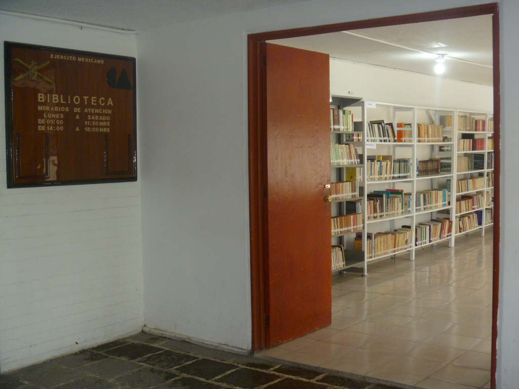 imagen1