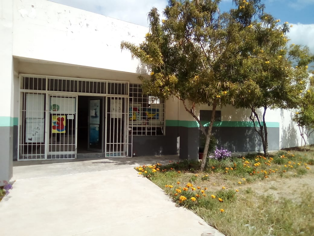 imagen1