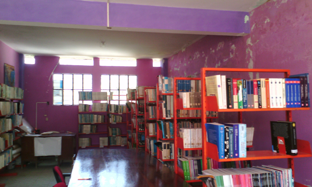 imagen2