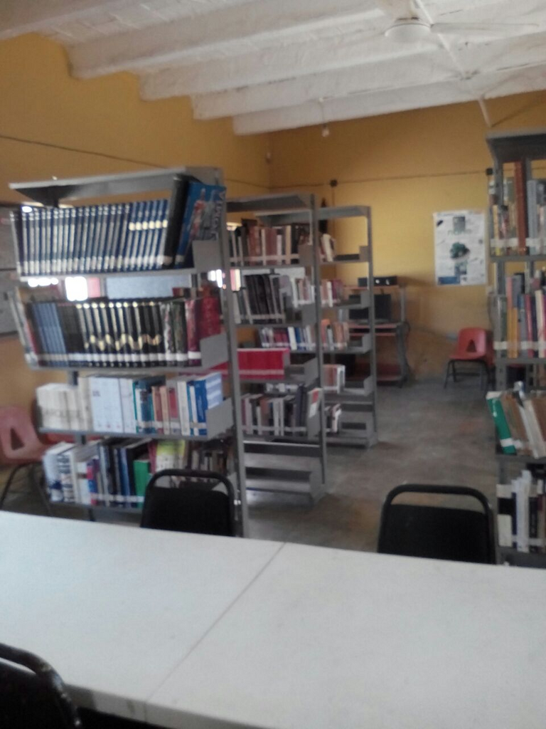 imagen1