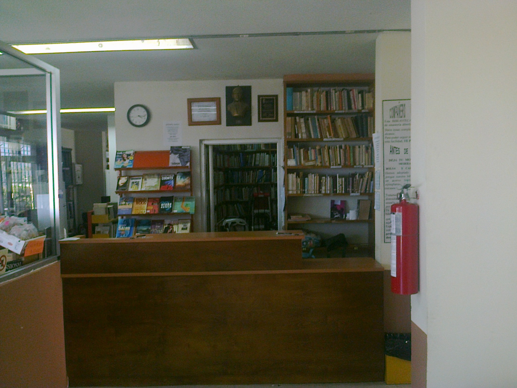 imagen3
