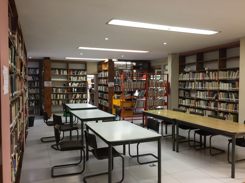 imagen2