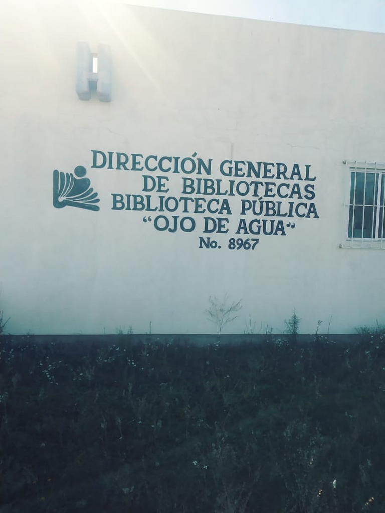 imagen3