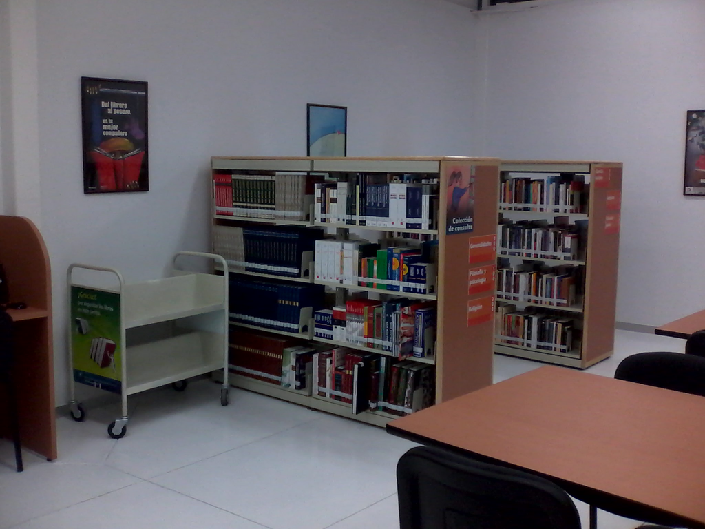 imagen3