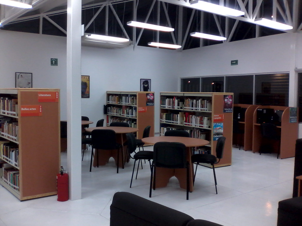 imagen1
