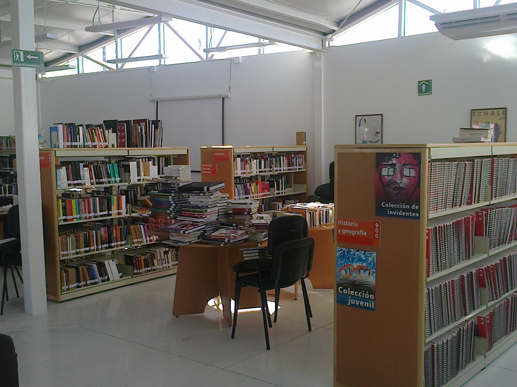 imagen3