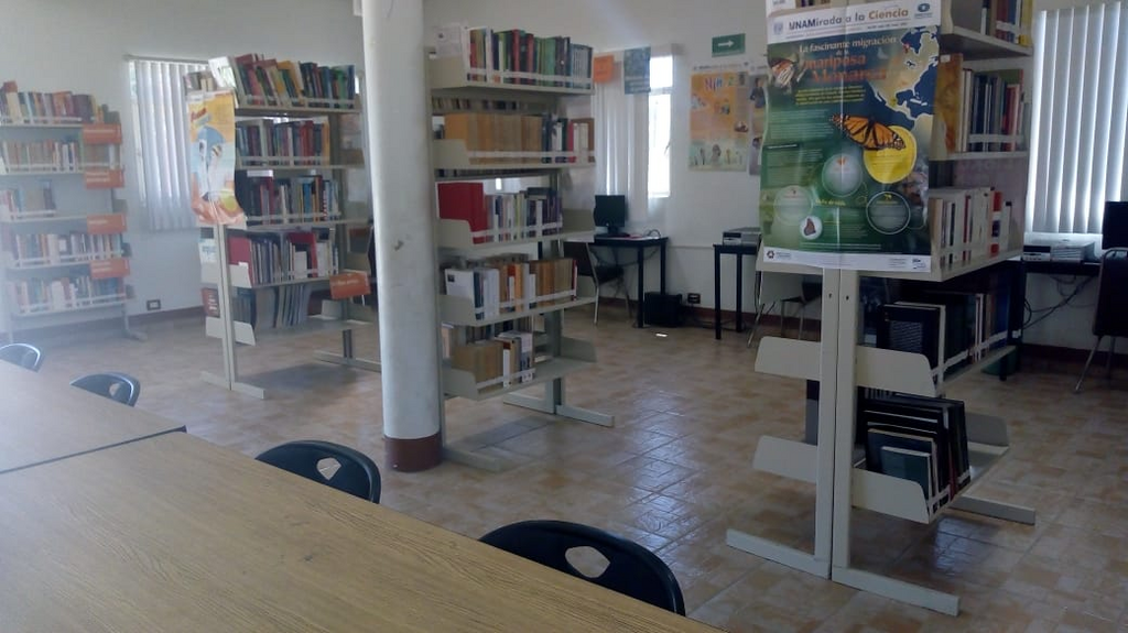 imagen2