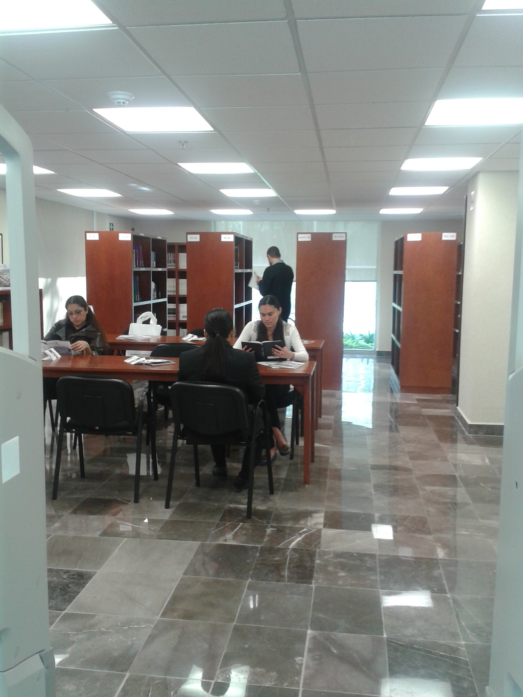 imagen3