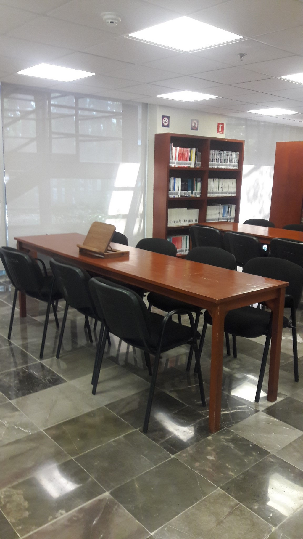 imagen2