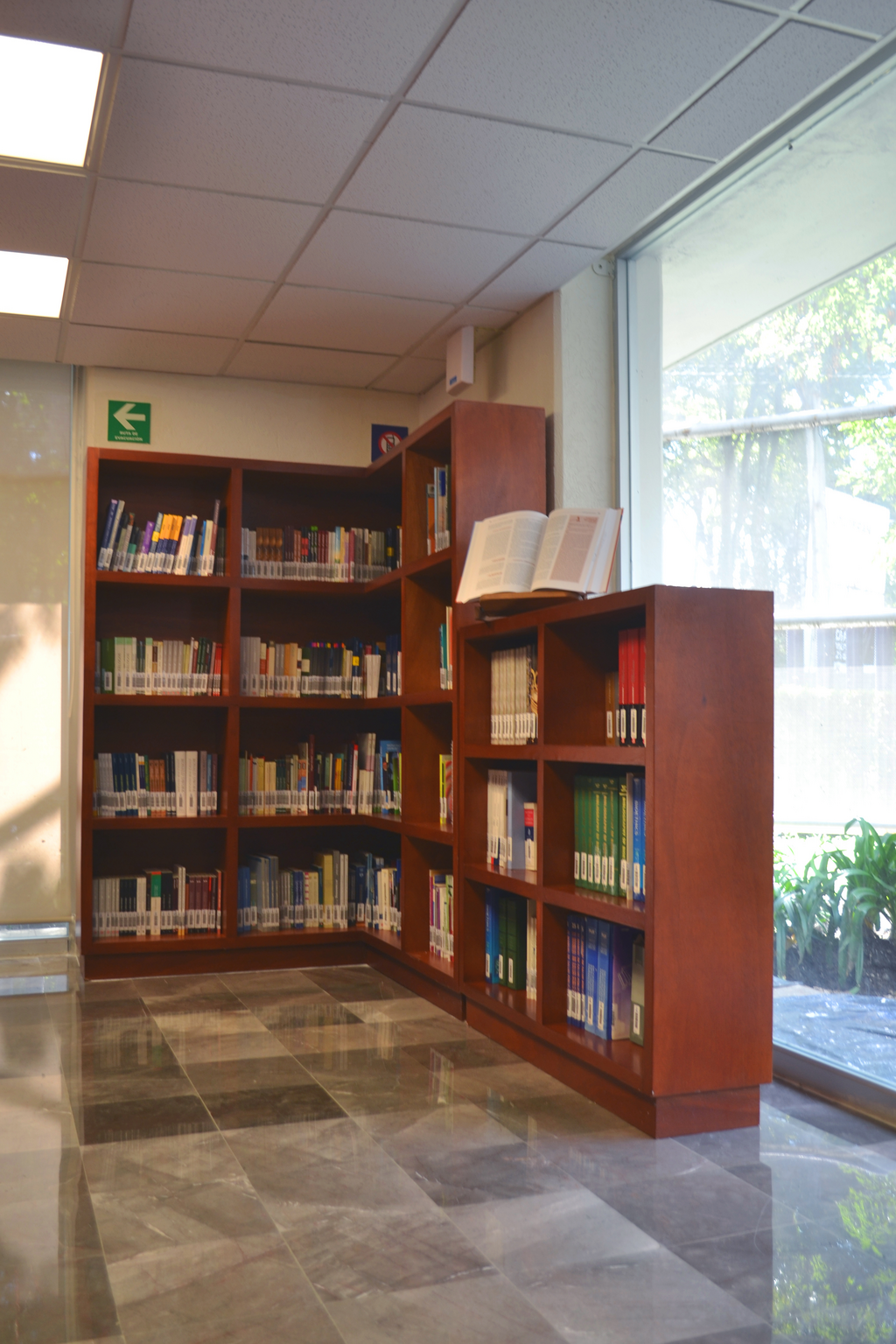 imagen2