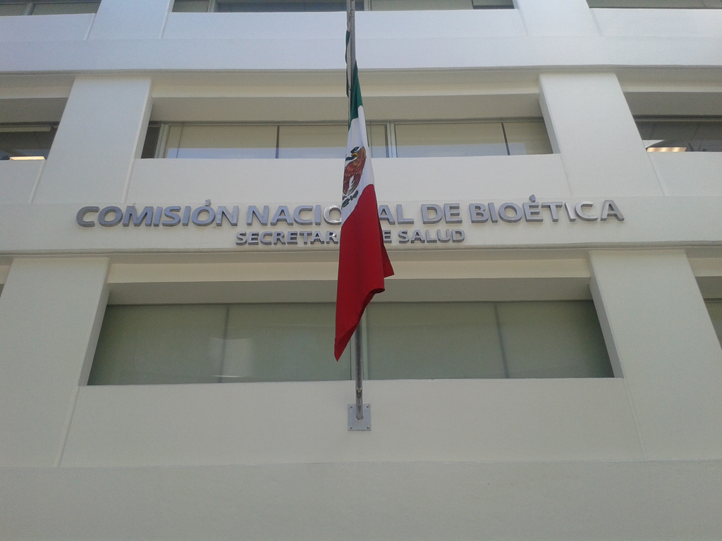 imagen1