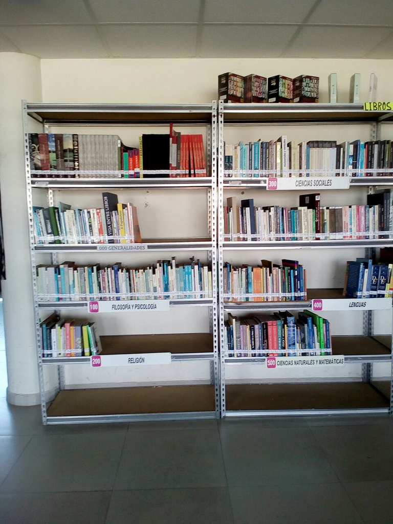 imagen3