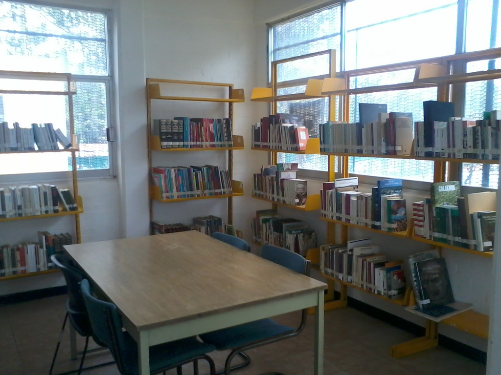 imagen2