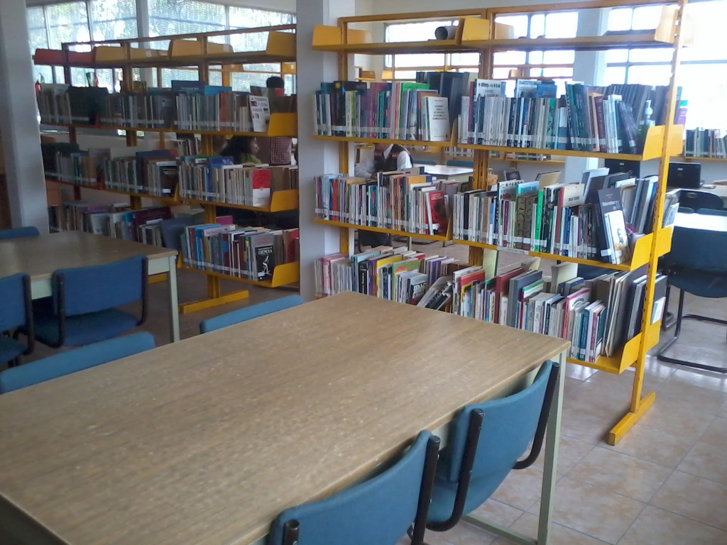 imagen3