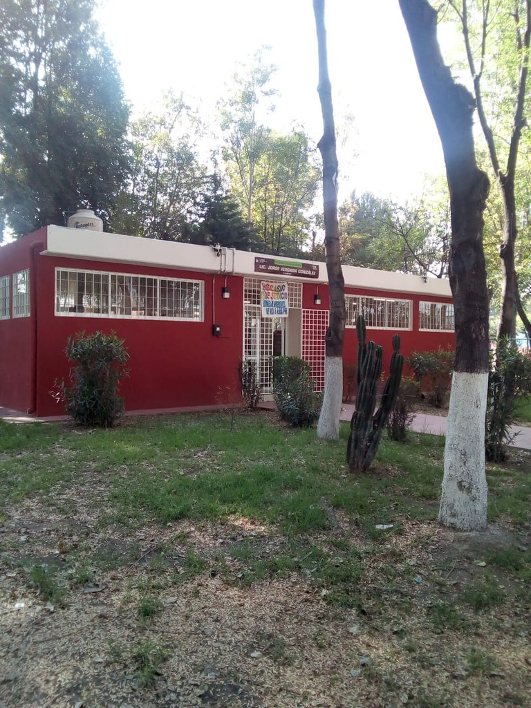 imagen2