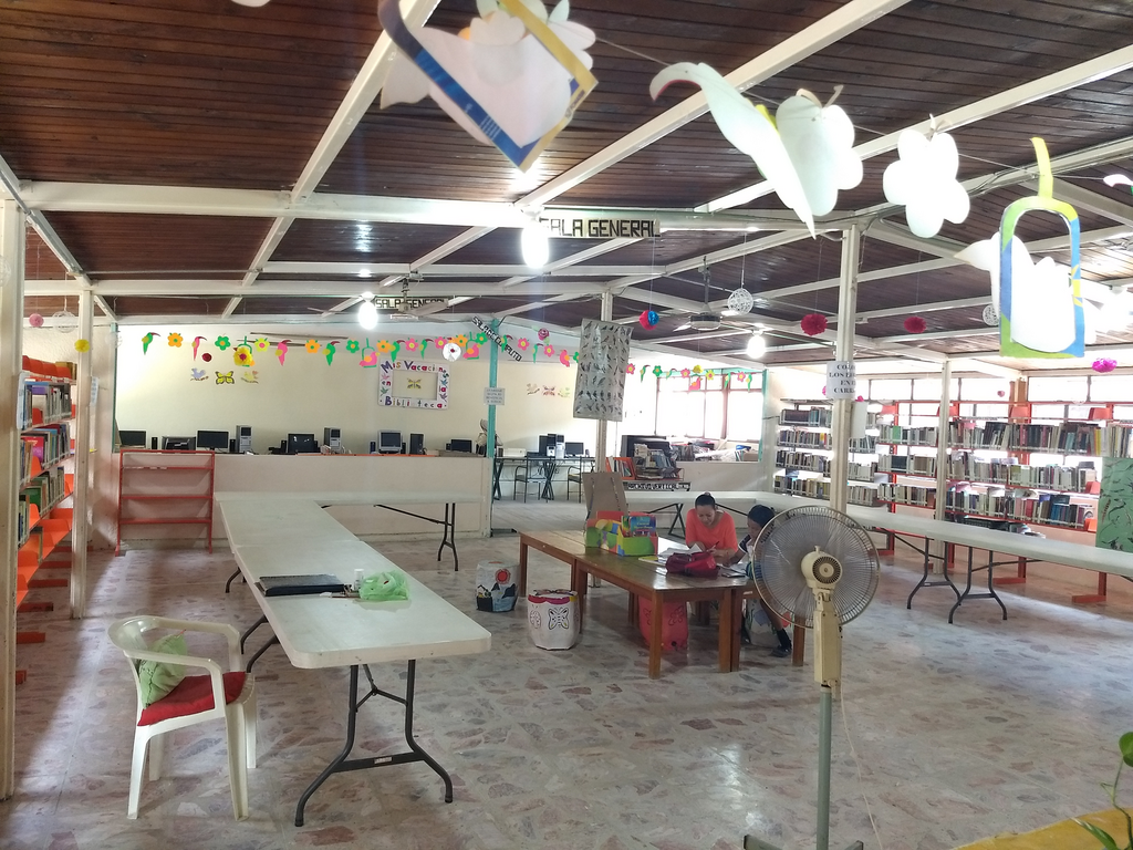 imagen3