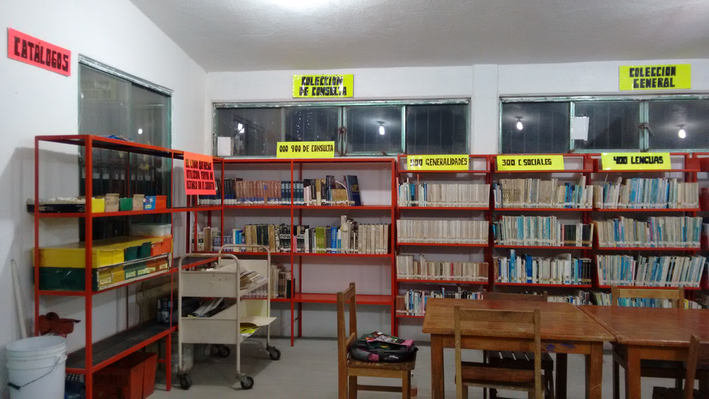 imagen3