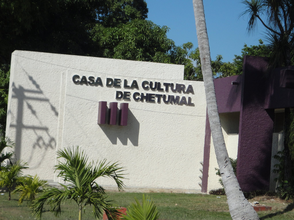 imagen1