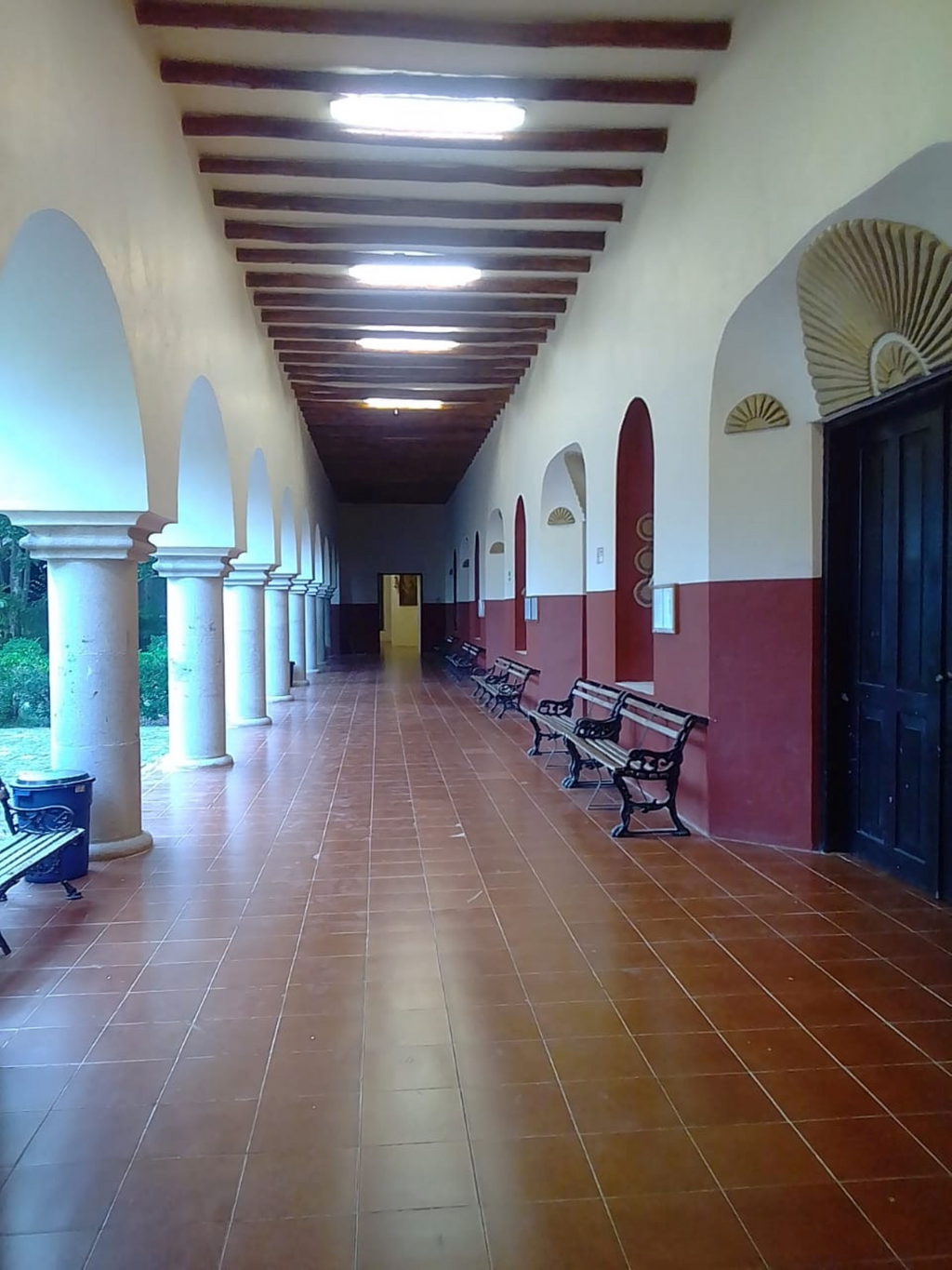 imagen1