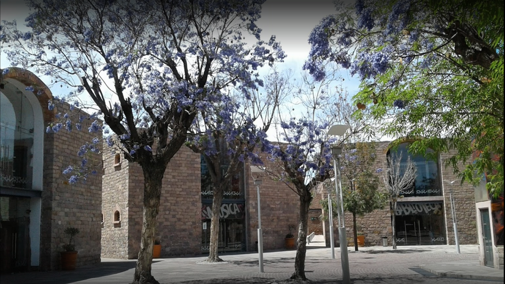 imagen3