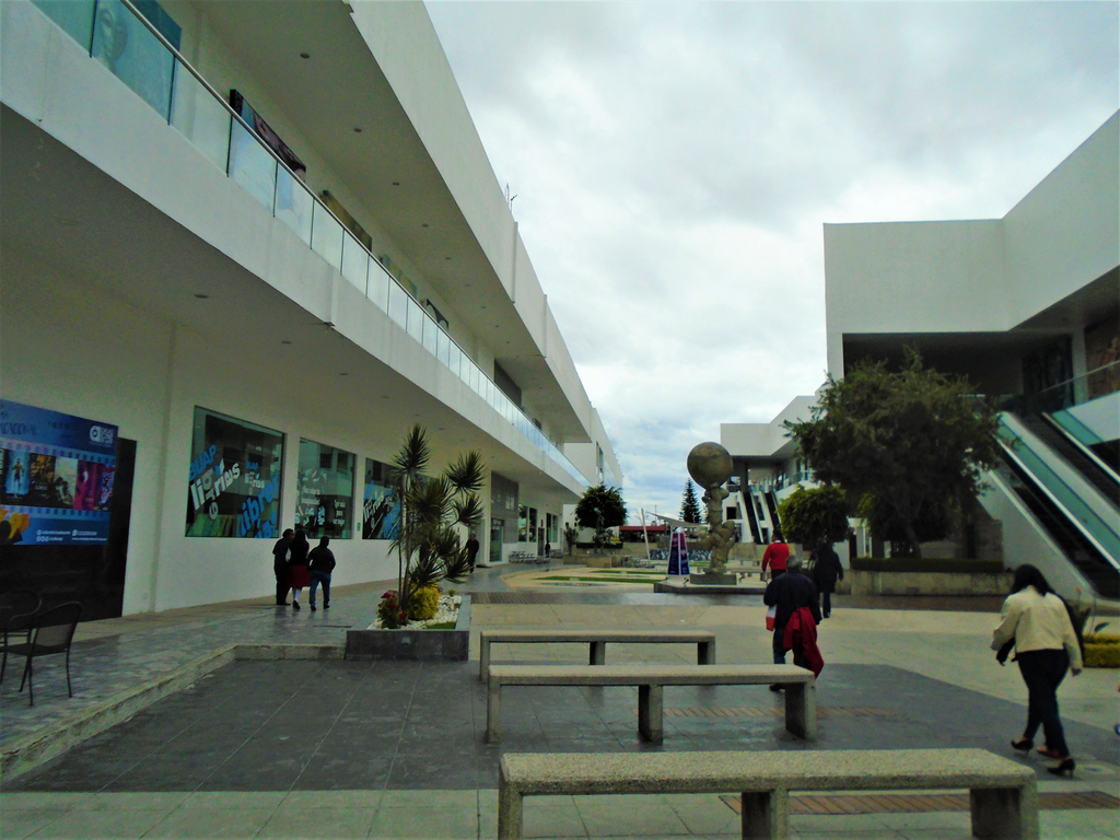 imagen3