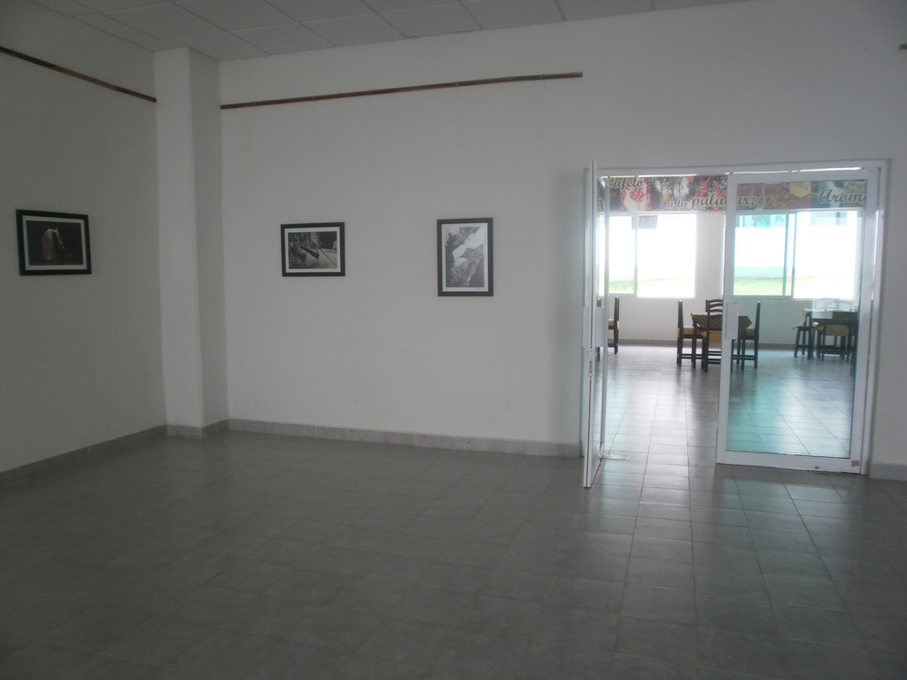 imagen1