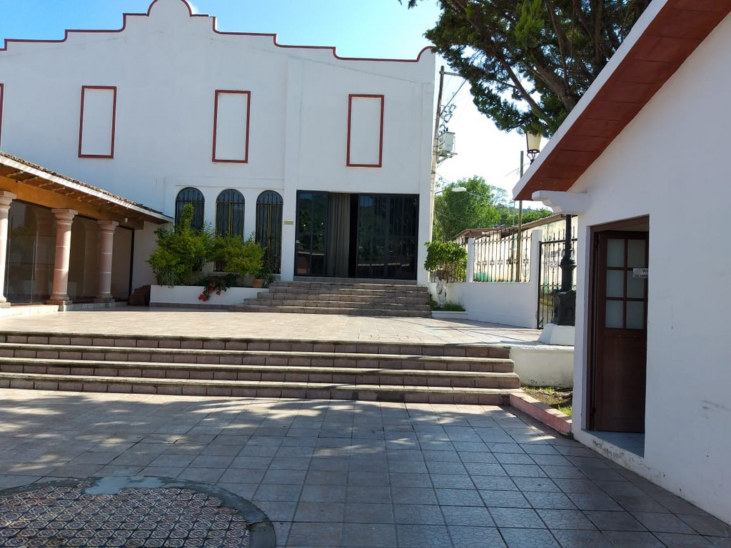 imagen1