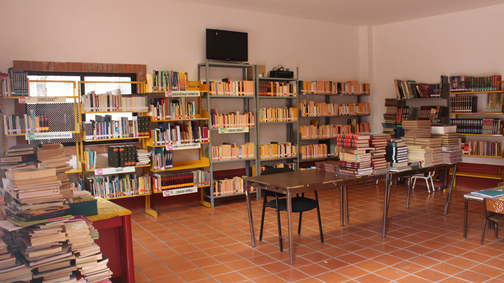 imagen3