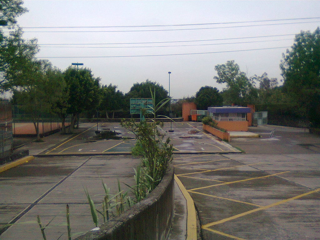 imagen1
