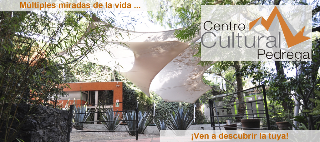 imagen3