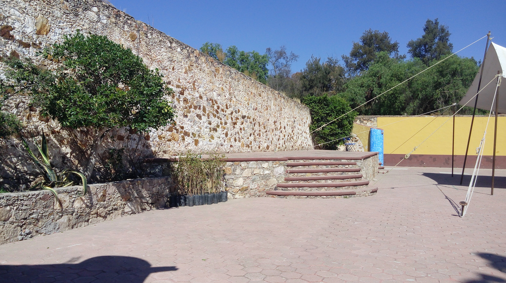 imagen3