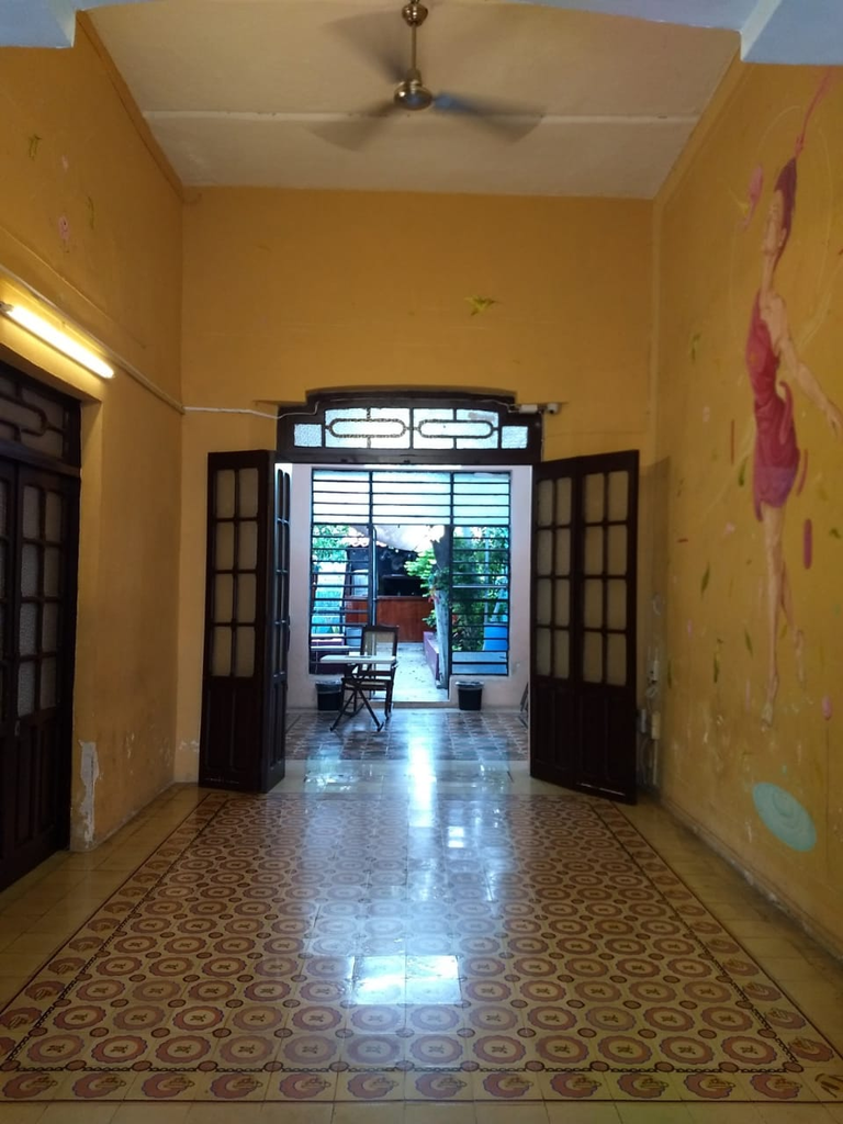 imagen1
