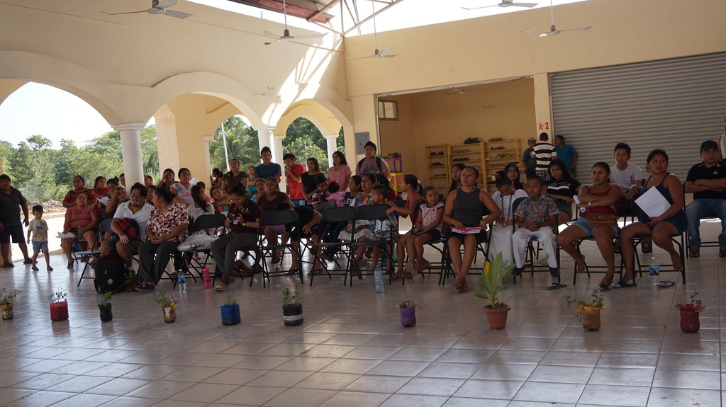 imagen2