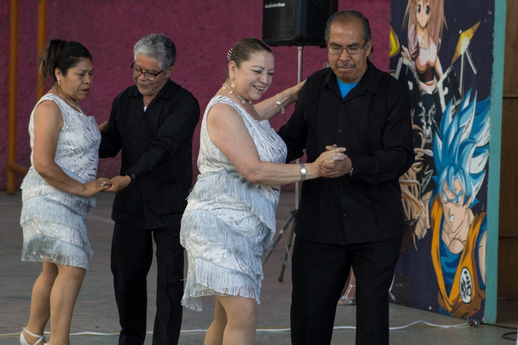 imagen1