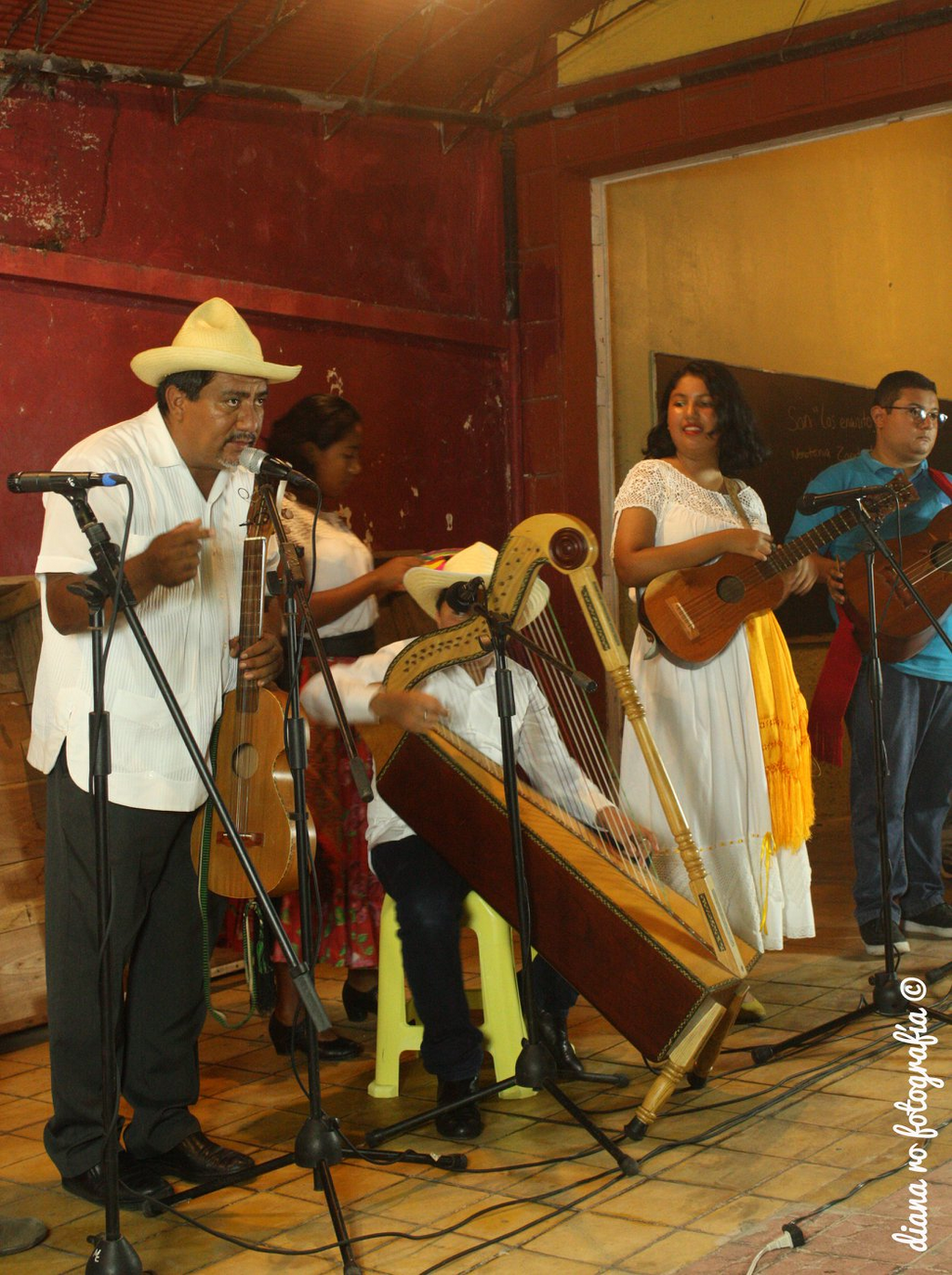 imagen1