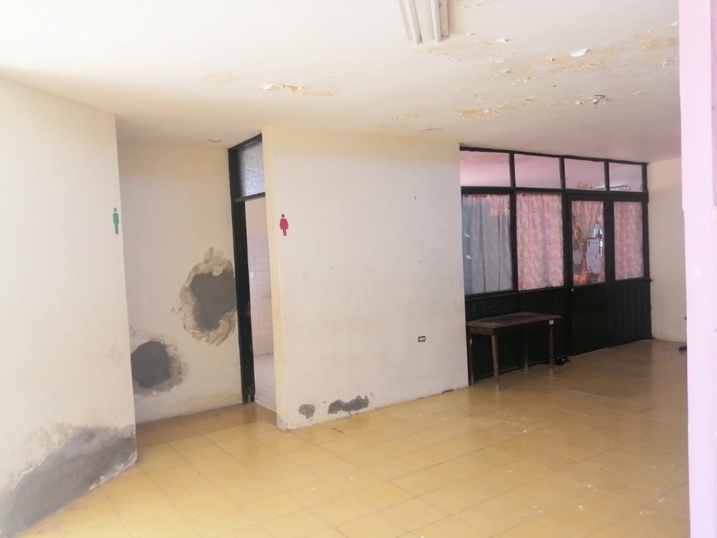 imagen1