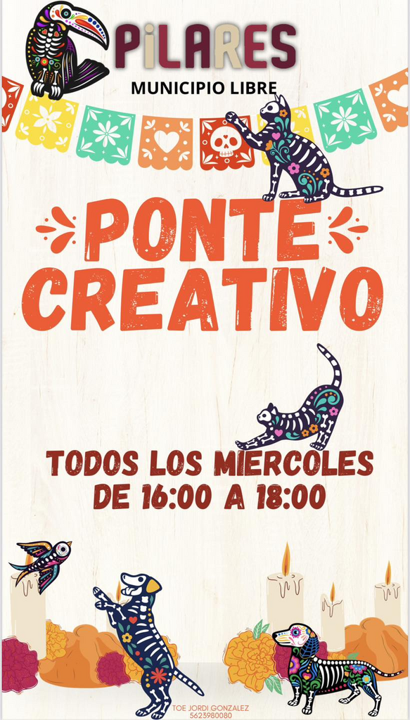 imagen1