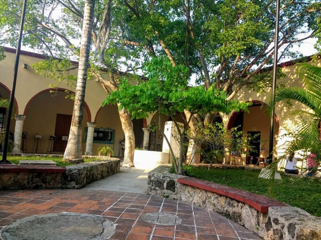 imagen2