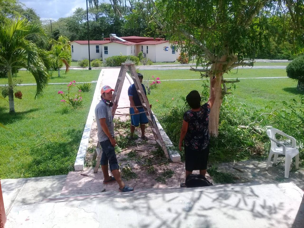 imagen2