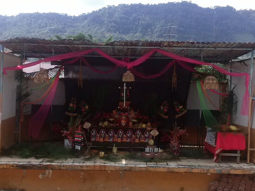 imagen3