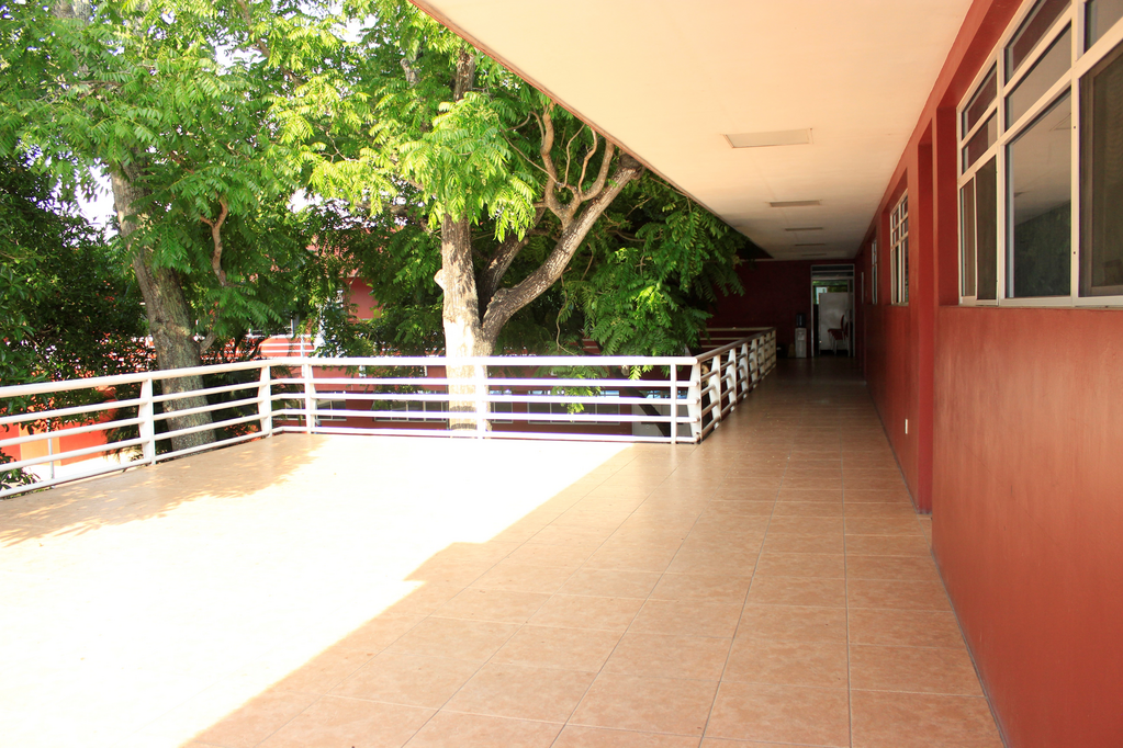 imagen3
