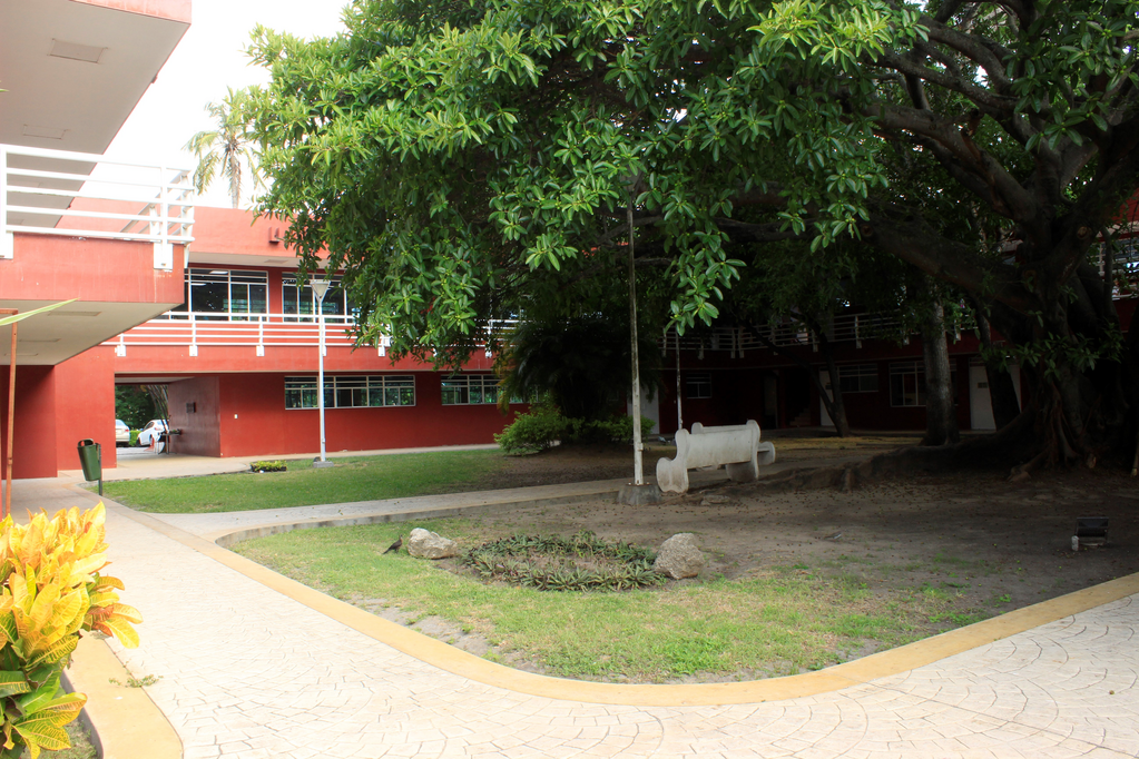 imagen2