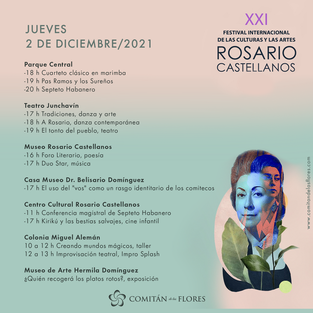 imagen1