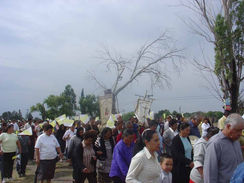 imagen1