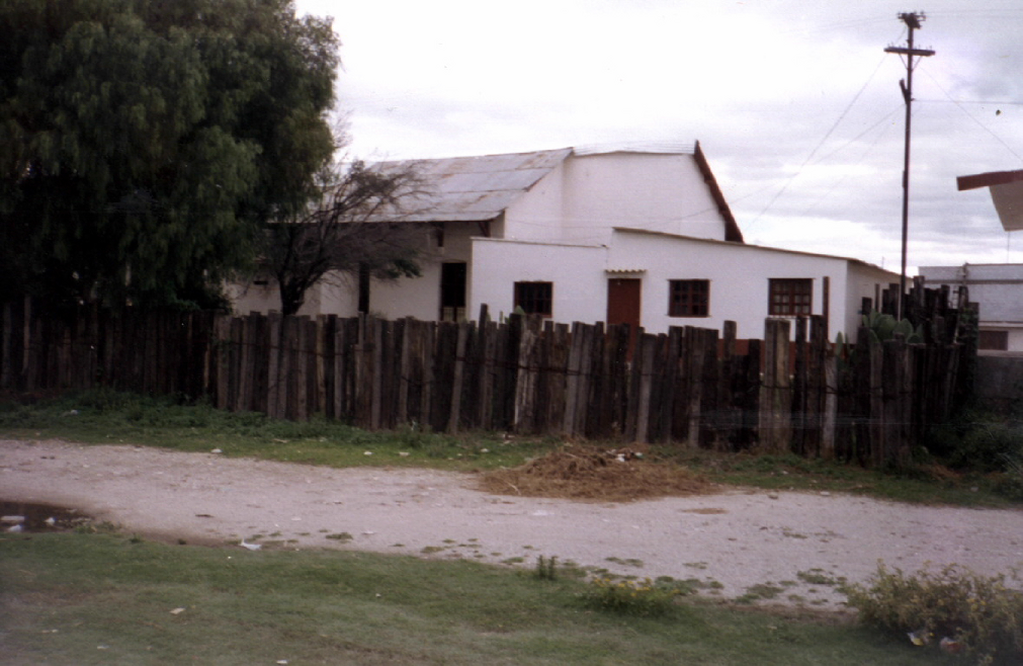 imagen3