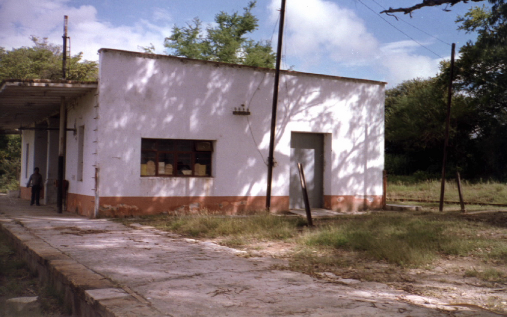 imagen3