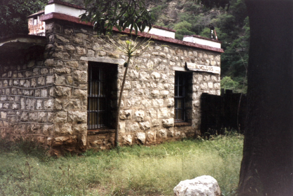imagen3